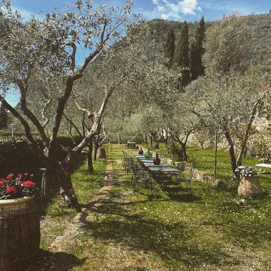 Sotto Il Cielo Di Toscana: Adult-Only Vacation Studios Camaiore Exterior photo